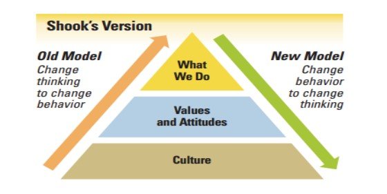 Shook’s model of change.