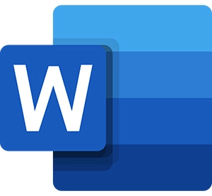 Microsoft word format