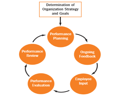 Figure 1: Process of performance management (Cardy & Leonard, 2015) 