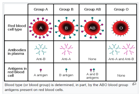 different blood type with their antibodies and antigens