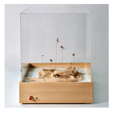  use of moths to transform unwanted clothing into bop-waste material adapted from (