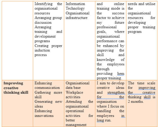 Professional developmental plan