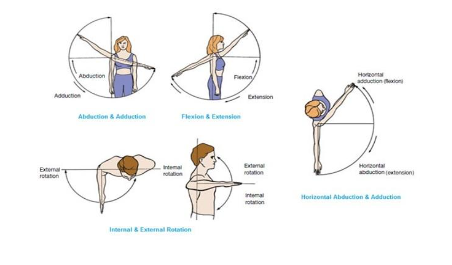 Movement of Shoulder