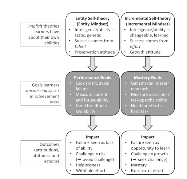Implicit theory of Intelligence