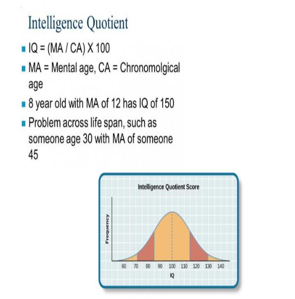 Intelligence Quotient