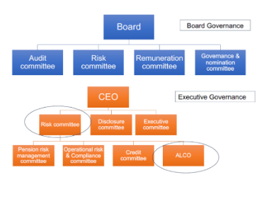 BASIC BANK GOVERNANCE STRUCTURE