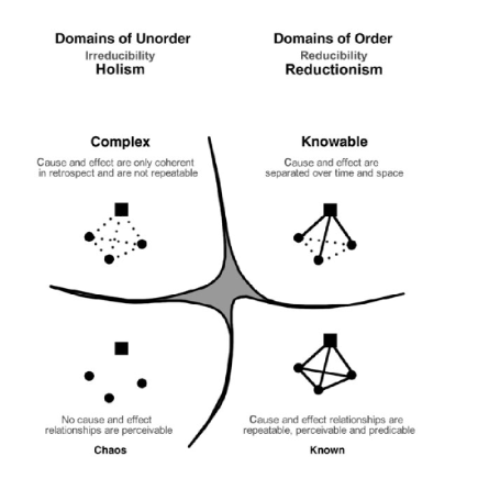 cause effect association interpretation using Cynefin framework