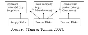  Supply risks, process risks, and demand risks