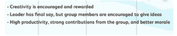 Demographic leadership