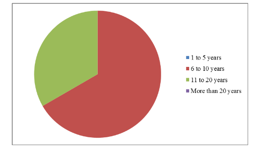  Experience of the Respondents