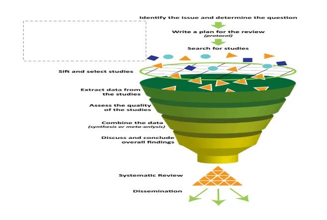 Systematic review frameworks as adapted from Peters