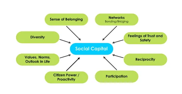 Social Capital theory