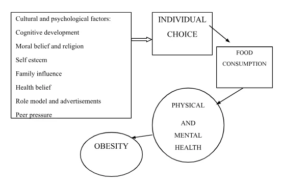 Conceptual framework of parental culture and obesity