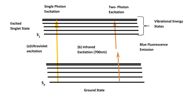 Two-photon Jablonski Energy Diagram