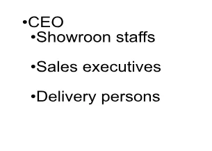 Proposed business structure for Ladies Only