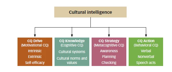 Cultural intelligence