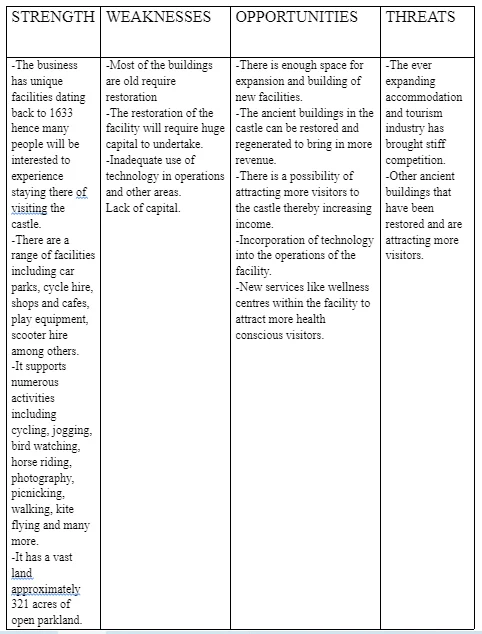 SWOT Analysis
