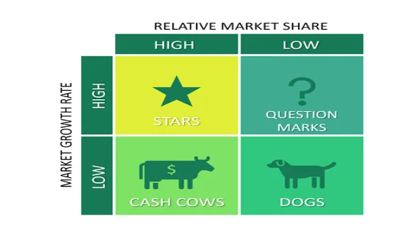 Basic Elements of BCG matrix