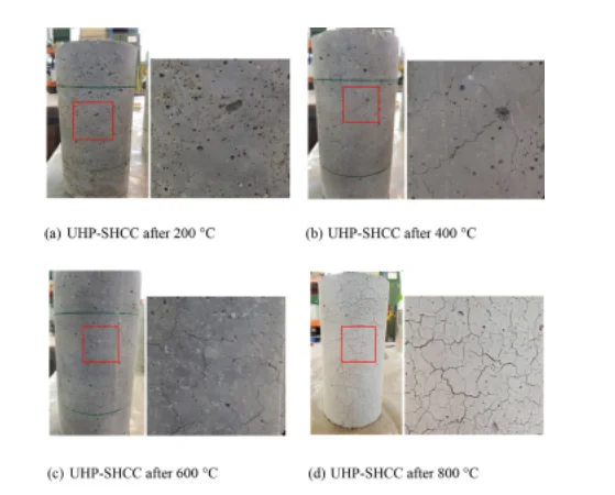  UHP-SHCC specimens after exposure to (a) 200, (b) 400, (c) 600 C and, (d) 800  C