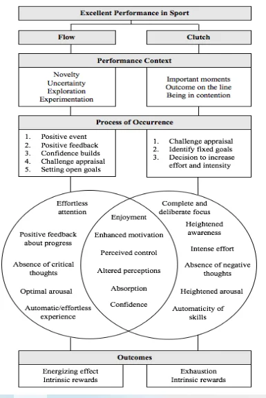 Conceptual framework of high performance in sports
