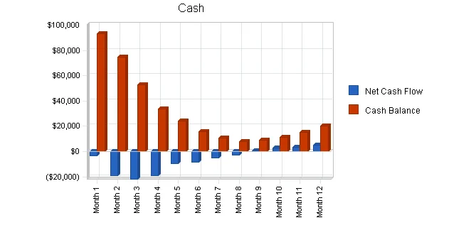 Cash flow forecast