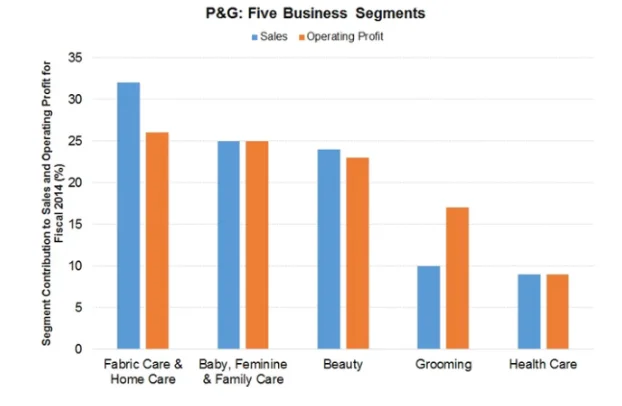 Business Segment of P&G