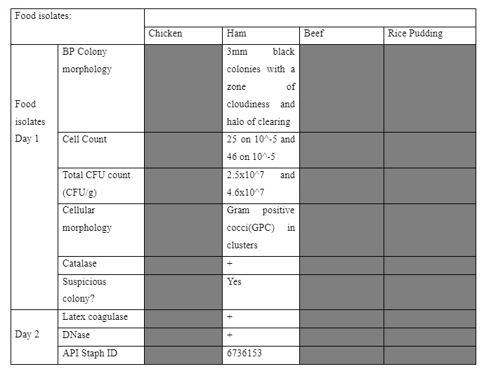 Food isolates of chicken, ham, beef and rice pudding