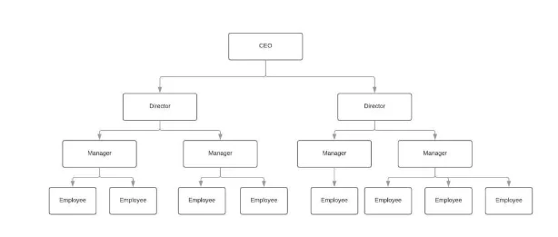 Functional organization structure by Pearson