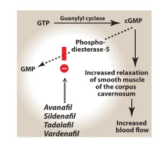 Phosphodiesterase 5 inhibitors mechanism of action