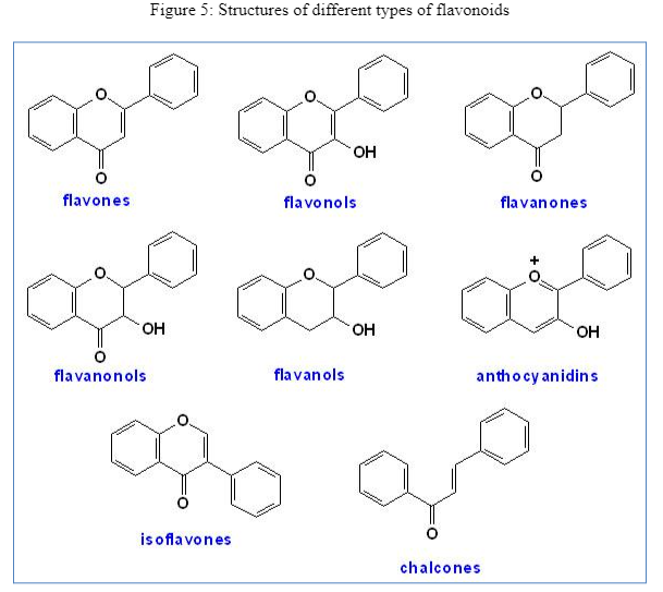 Sources of Flavonoids