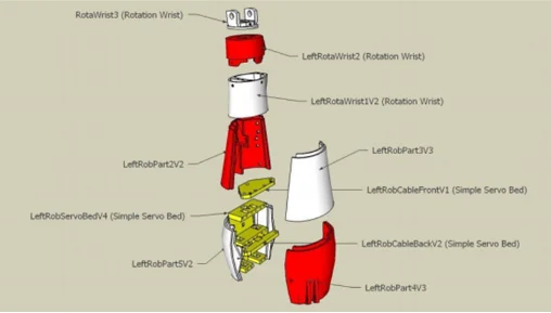 the Forearm 3D model, as adopted from In