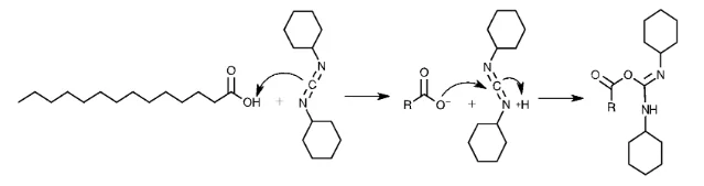 Mechanism of DCC with myristic acid producing O-acylisourea as an intermediate