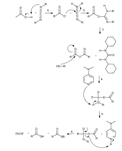 Proposed mechanism for anhydride formation from the reaction of O-acylisourea