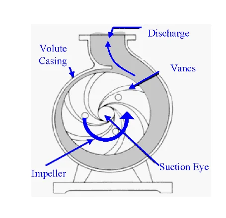 Fluid moment in a Centrifugal pump