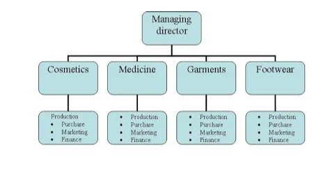 Divisional Organizational Structure