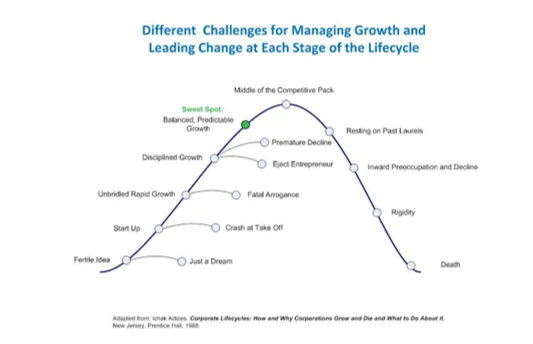 Challenges faced during the growth and development of Entrepreneurial ventures