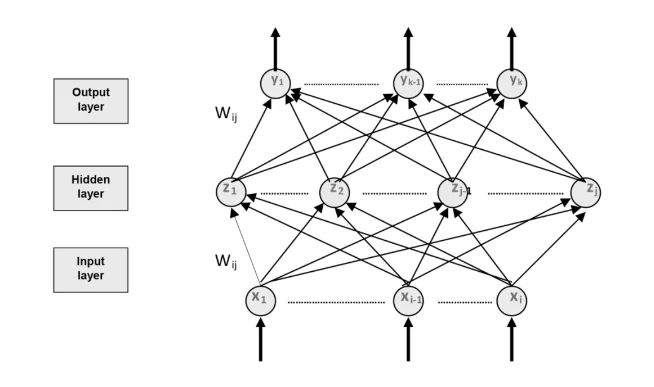 Network of the multilayer perception