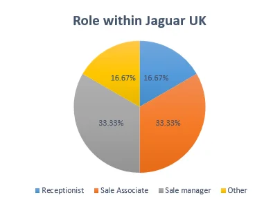 Role within Jaguar UK