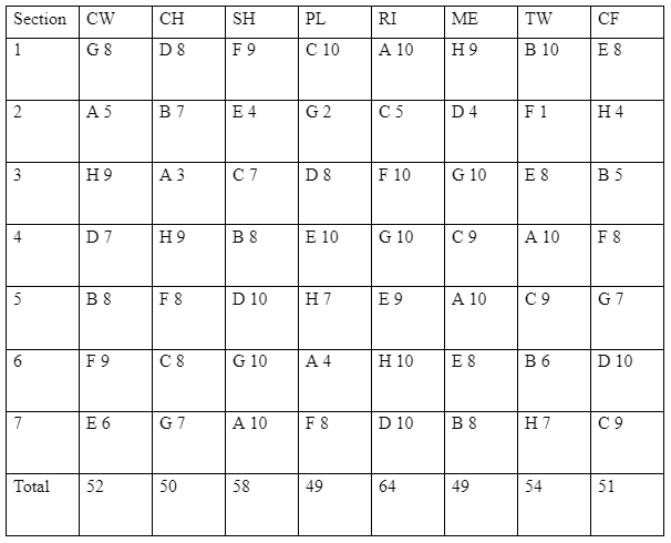 SELF-PERCEPTION INVENTORY ANALYSIS SHEET