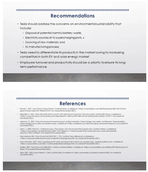 PPT Slides