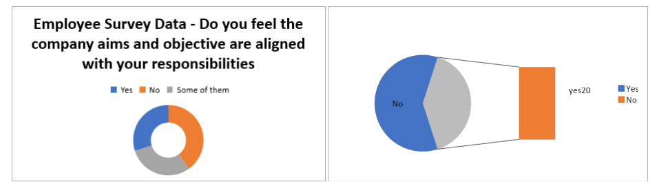 employee survey data-do you feel the company aim