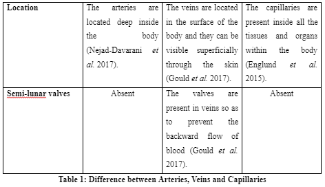 Difference between Arteries, Veins and Capillaries