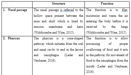 Structure and Function of different parts of the Respiratory System
