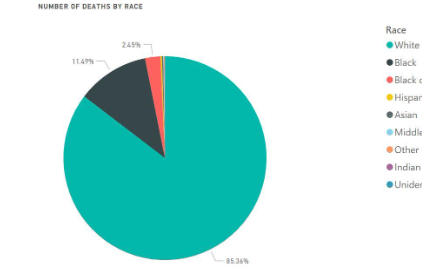 A pie chart showing number of deaths by race in Allegheny County, PA
