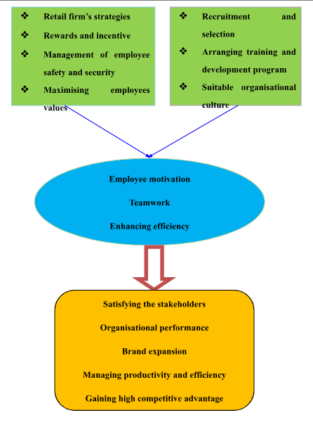 Conceptual framework