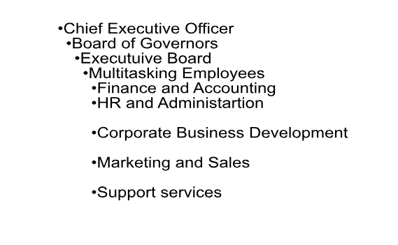 Organisation Structure of Southbank Centre