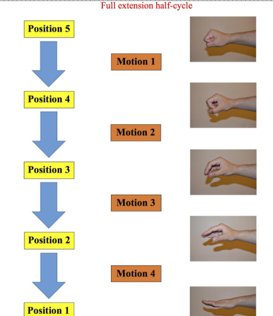 Full extension half-cycle; five positions and four motions