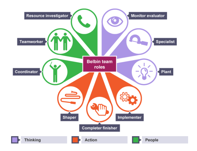 The Belbin team roles model
