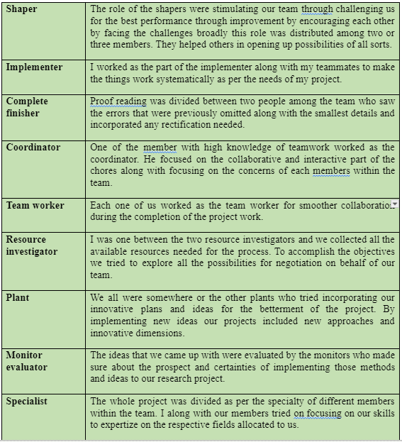 The Belbin team roles model