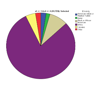 ethnicity of the respondents